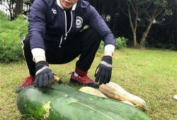 童锦程的吃瓜爆料,娱乐圈幕后真相大揭秘