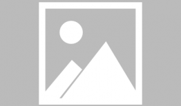 柔道视频,从视频中汲取的力量与智慧